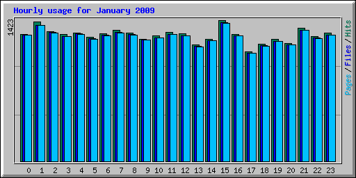 Hourly usage for January 2009