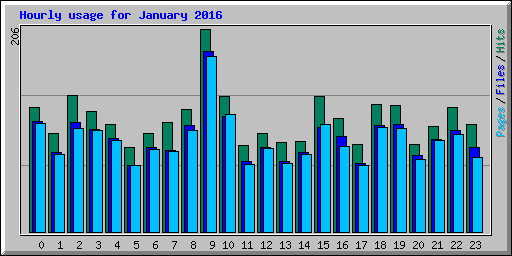 Hourly usage for January 2016